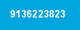 9136223823
