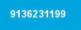 9136231199