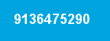 9136475290