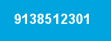9138512301