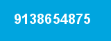 9138654875