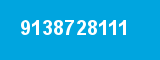 9138728111