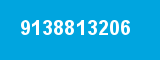 9138813206