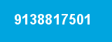 9138817501