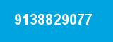 9138829077
