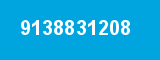 9138831208