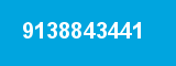9138843441