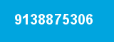 9138875306
