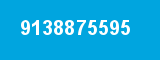 9138875595