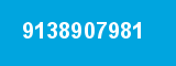 9138907981