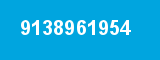 9138961954