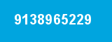 9138965229