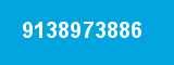 9138973886