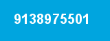 9138975501