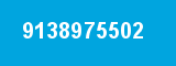 9138975502