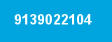 9139022104