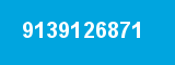 9139126871