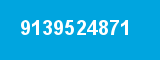 9139524871