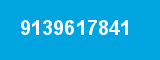 9139617841