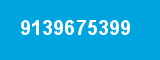 9139675399