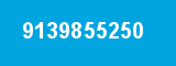9139855250