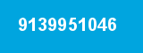 9139951046