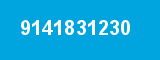 9141831230 9141831230