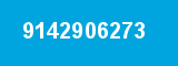 9142906273