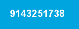 9143251738