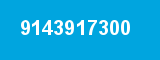 9143917300