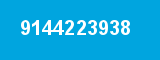 9144223938