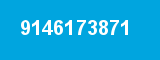 9146173871