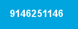 9146251146
