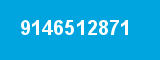 9146512871