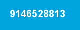 9146528813
