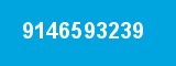 9146593239