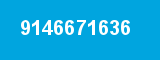 9146671636