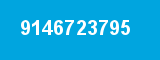 9146723795