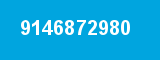 9146872980