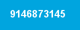 9146873145