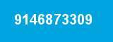 9146873309 9146873309