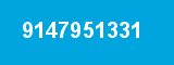 9147951331