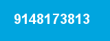 9148173813