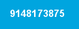 9148173875