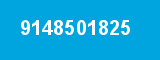 9148501825