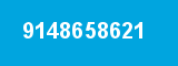 9148658621