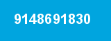 9148691830