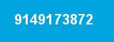 9149173872