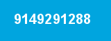 9149291288
