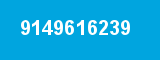9149616239 9149616239